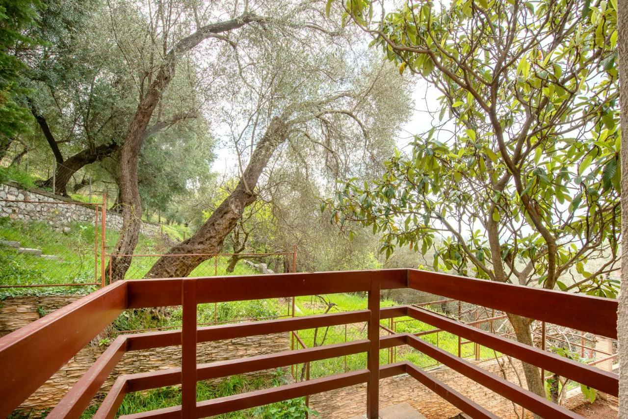 Villa Milana Budva Zewnętrze zdjęcie